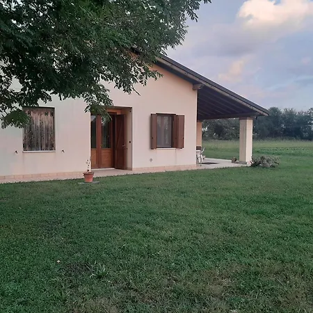 Laruotabio2